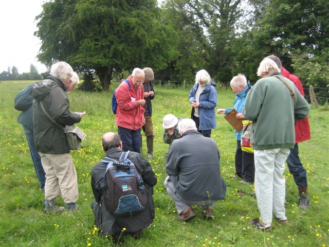 News - Mark Tyszka 2011