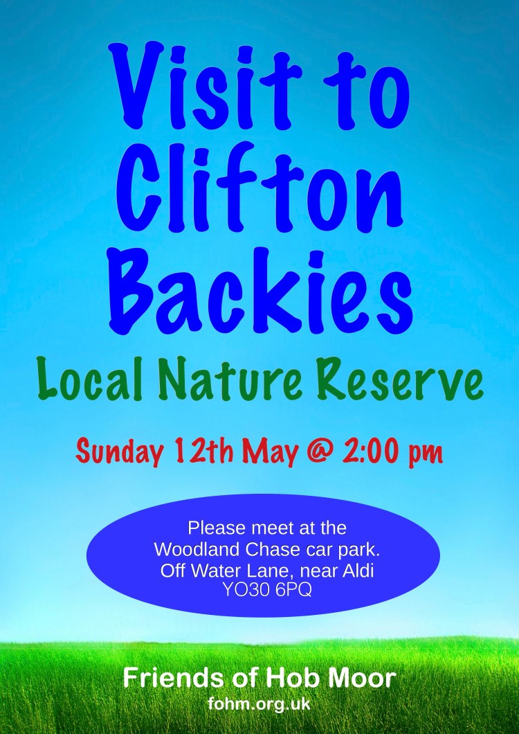 Clifton Backies 0519